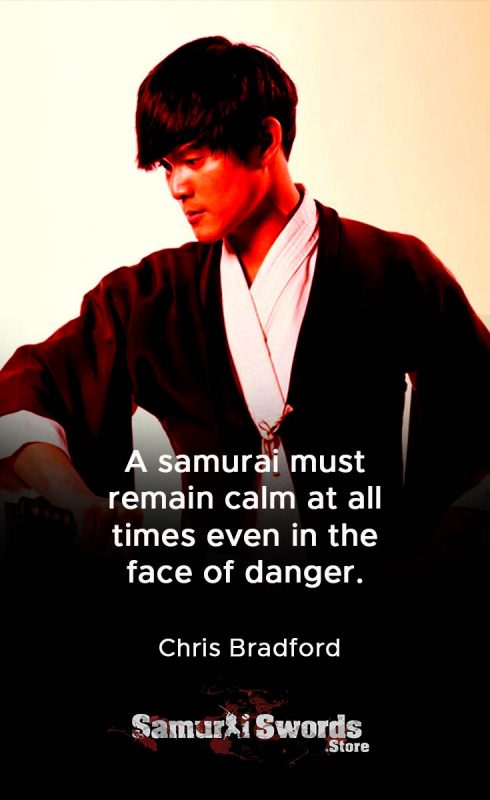 A samurai must remain calm at all times even in the face of danger. - Chris Bradford