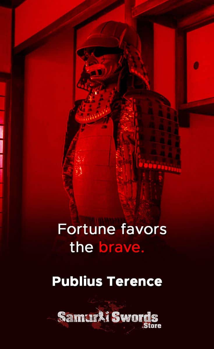 Fortune favors the brave. - Publius Terence