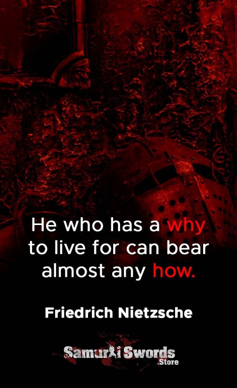 He who has a why to live for can bear almost any how. - Friedrich Nietzsche