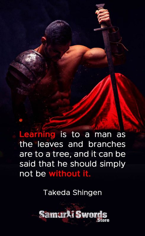 Learning is to a man as the leaves and branches are to a tree