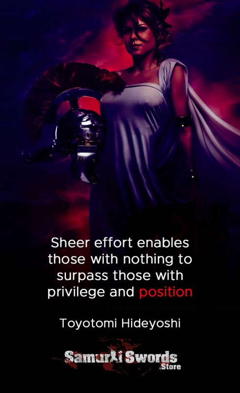 Sheer effort enables those with nothing to surpass those with privilege and position - Toyotomi Hideyoshi