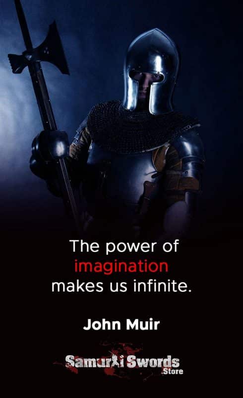 The power of imagination makes us infinite.  - John Muir