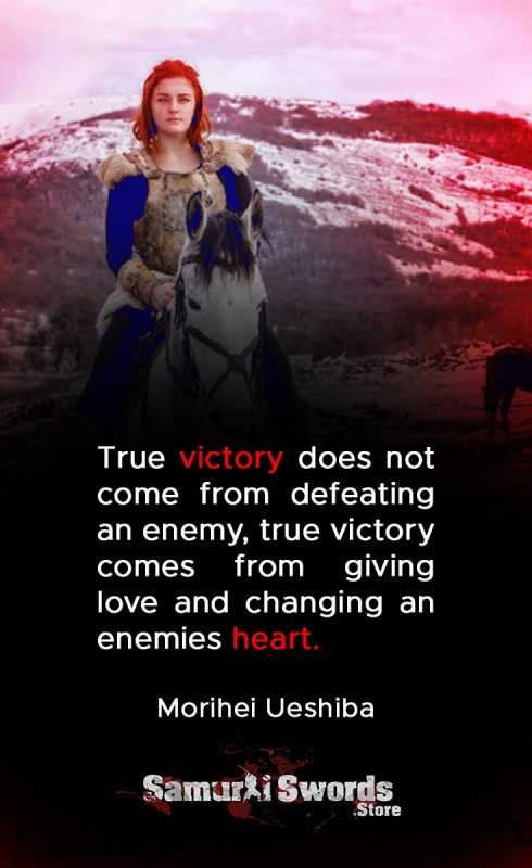 True victory does not come from defeating an enemy