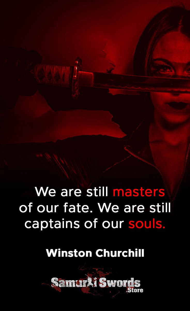 We are still masters of our fate. We are still captains of our souls. - Winston Churchill